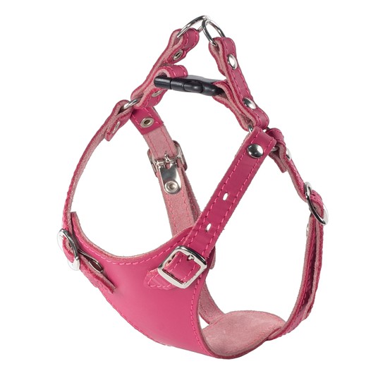 Изображение на странице