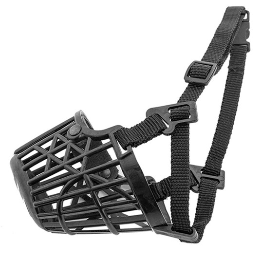 Изображение на странице