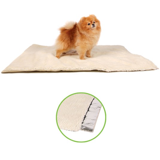 Изображение на странице