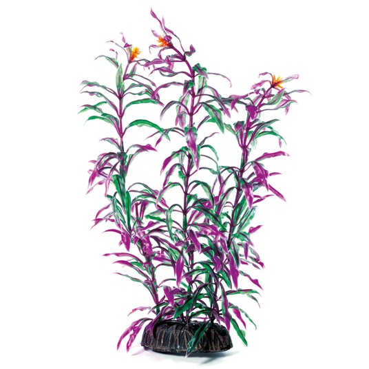 Изображение на странице