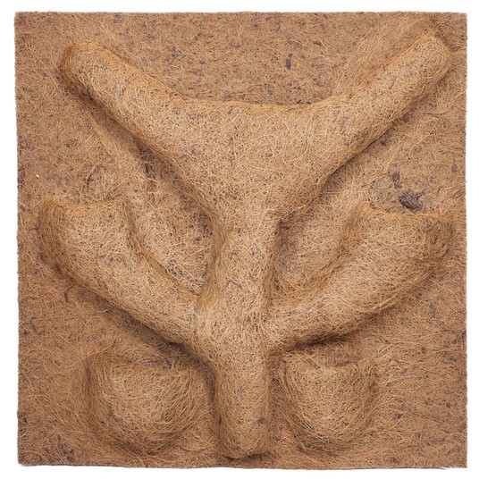 Изображение на странице