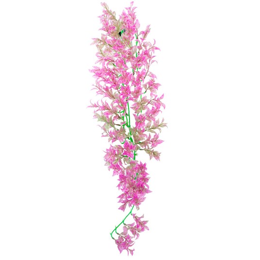 Изображение на странице