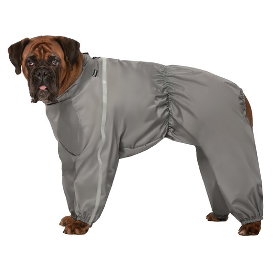 Изображение на странице