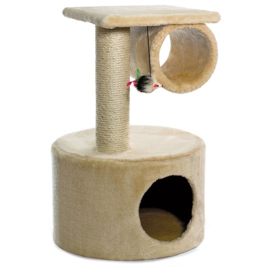 Изображение на странице