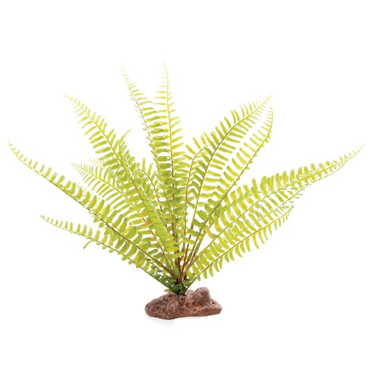 Изображение на странице