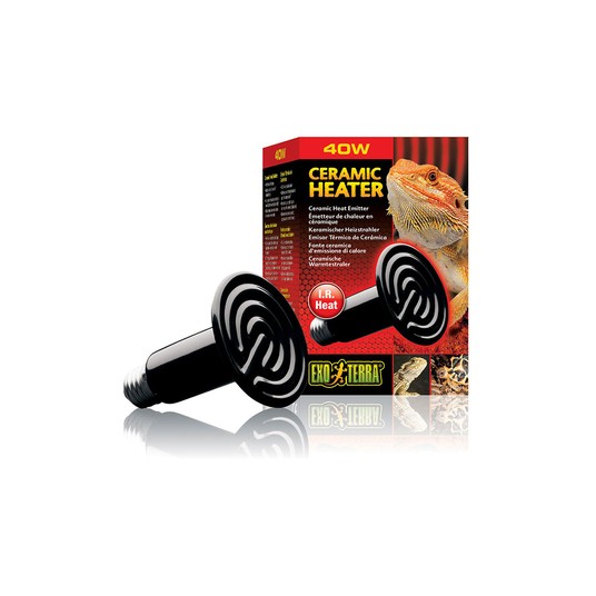 Изображение на странице