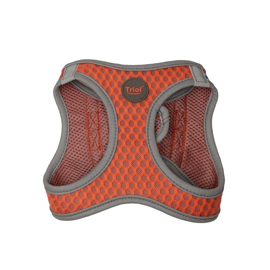 Изображение на странице