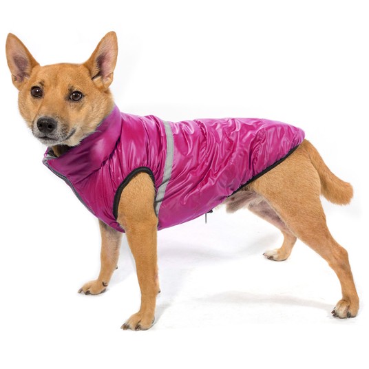 Изображение на странице