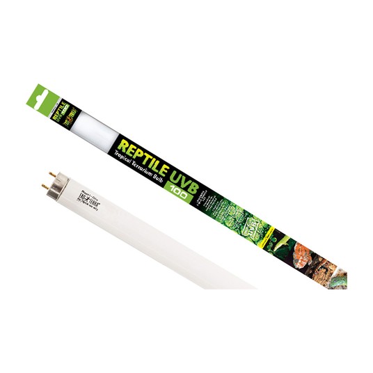 Изображение на странице