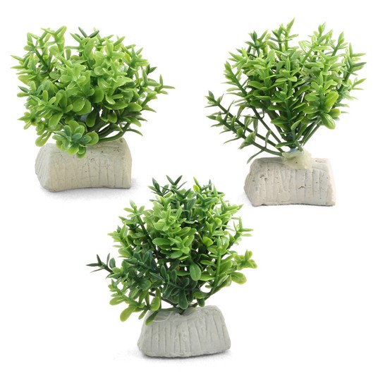 Изображение на странице