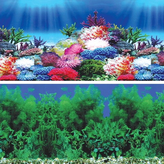 Изображение на странице