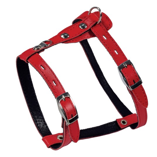 Изображение на странице