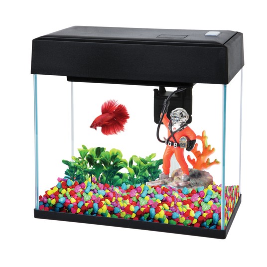 Изображение на странице