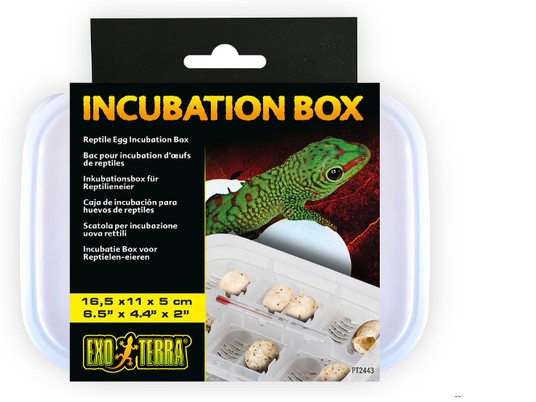 Изображение на странице