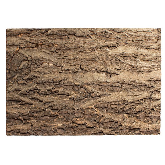 Изображение на странице