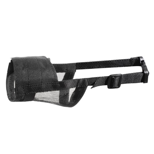 Изображение на странице