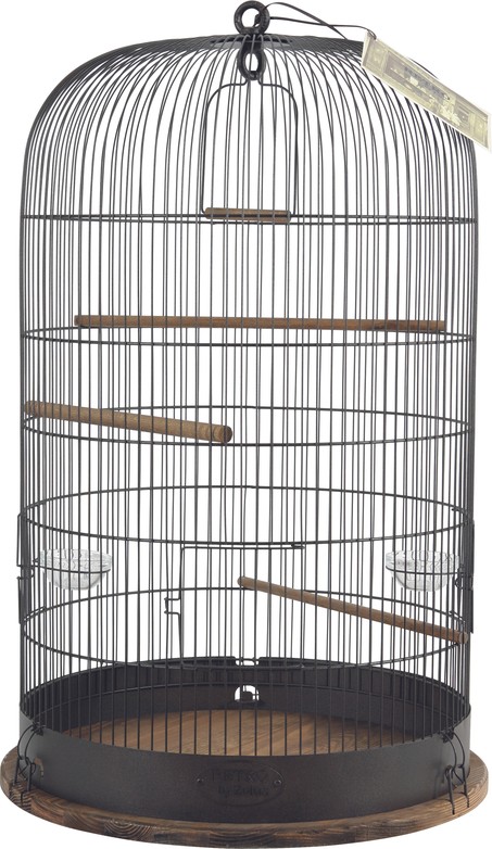 Изображение на странице