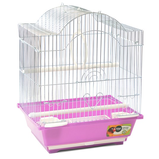 Изображение на странице