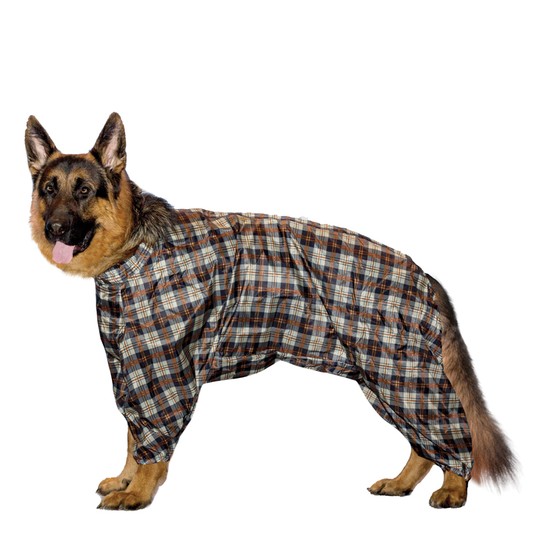 Изображение на странице