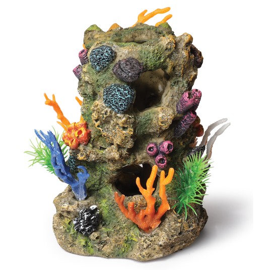 Изображение на странице