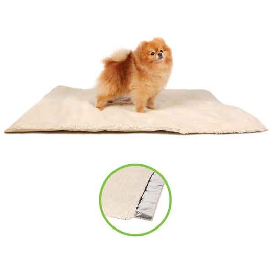 Изображение на странице