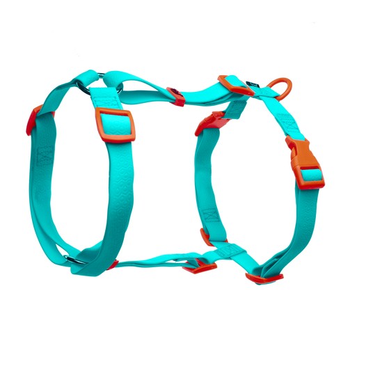 Шлейка из биотана "Лазурный апельсин" S, голубая, 15*400-550 мм