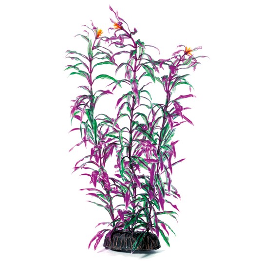 Изображение на странице