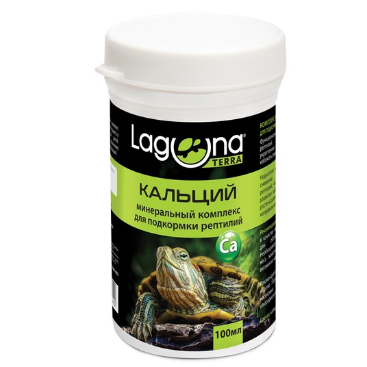 Изображение на странице