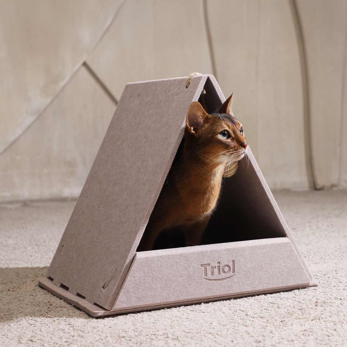 Изображение на странице