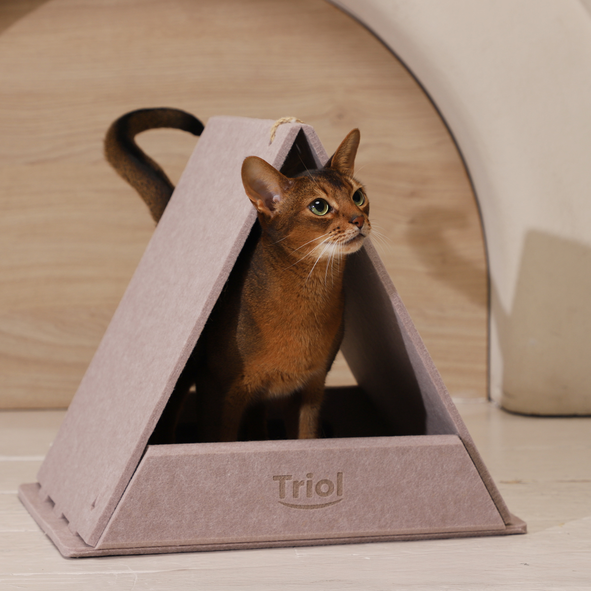 Изображение на странице