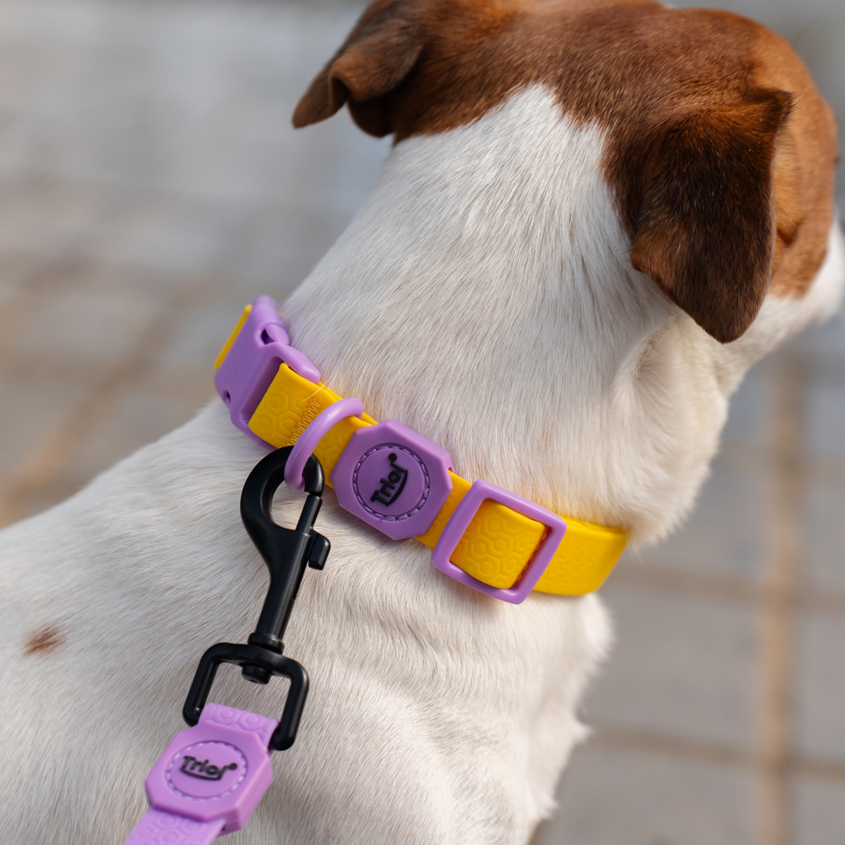 Ошейник из биотана "Лимонная черника" M, желтый, 20*340-490мм 8