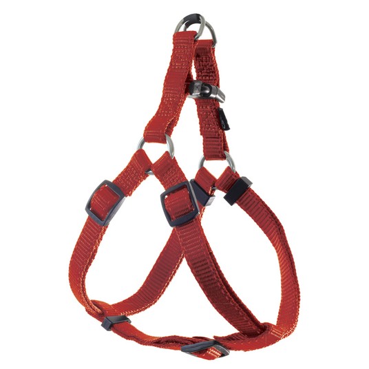 Изображение на странице