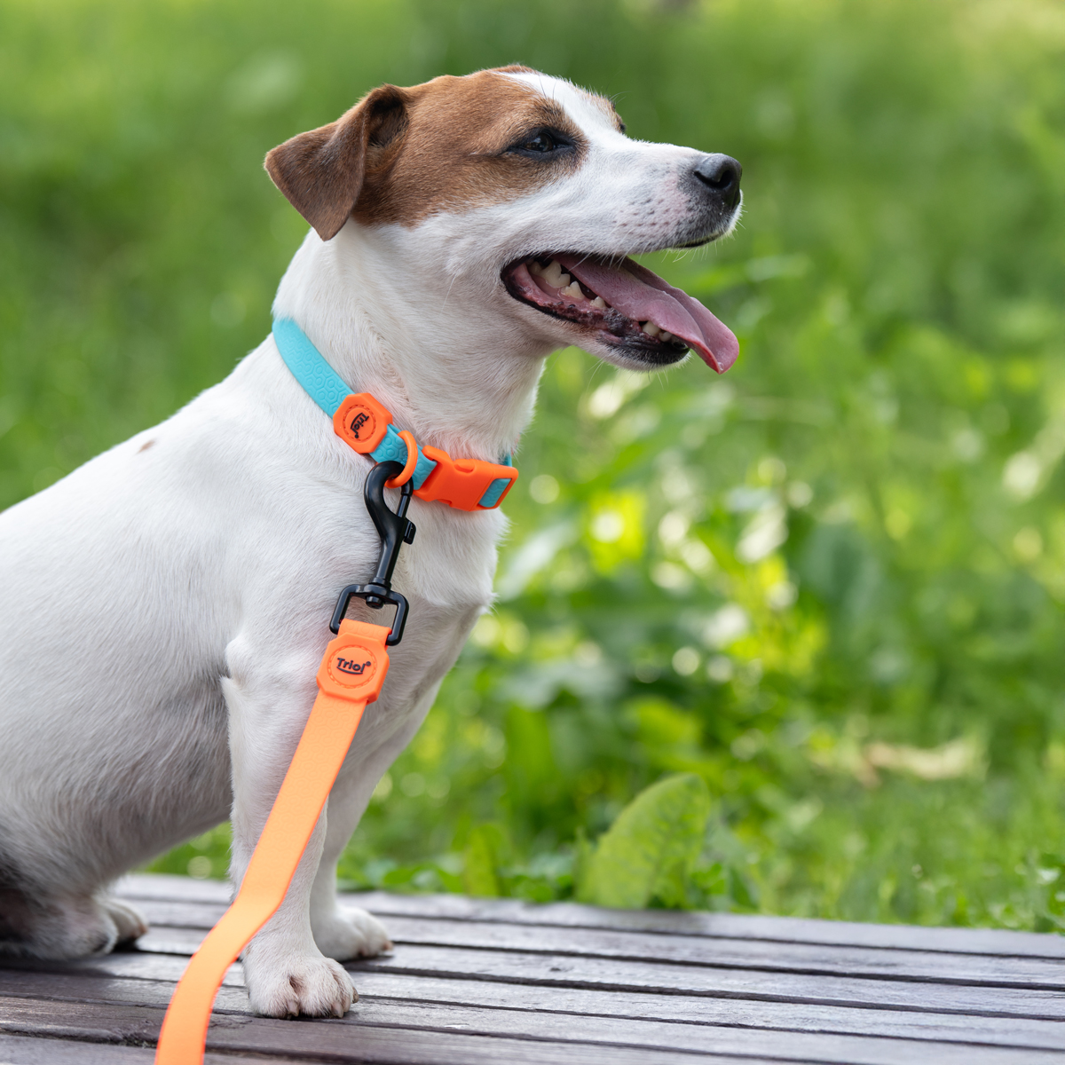 Изображение на странице