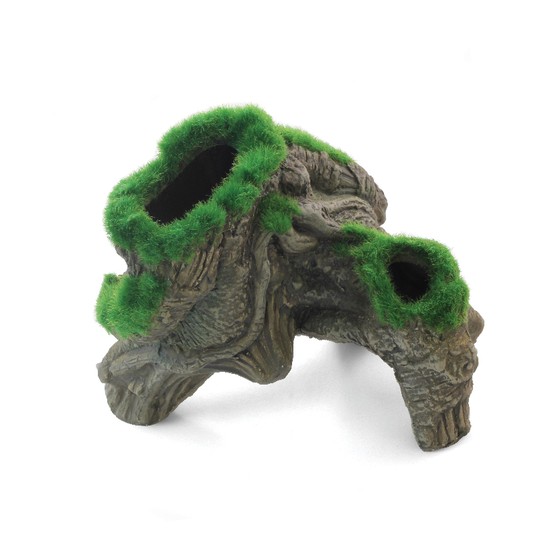 Изображение на странице