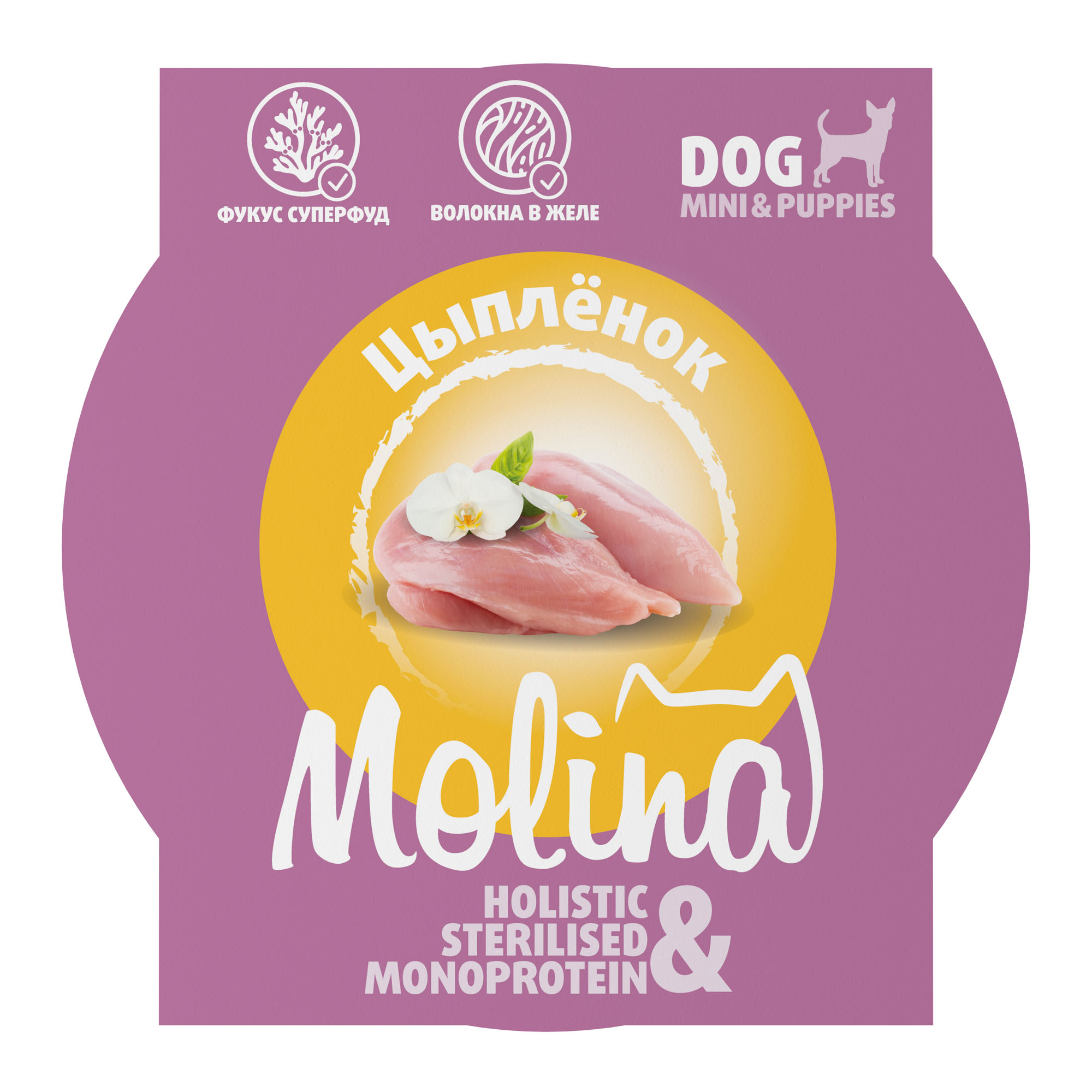 Изображение на странице