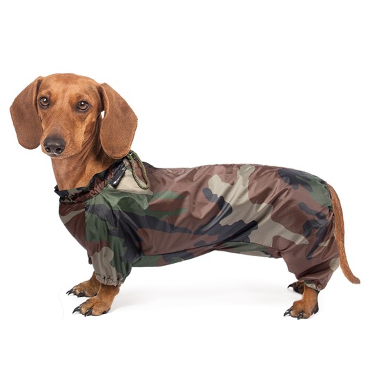 Изображение на странице