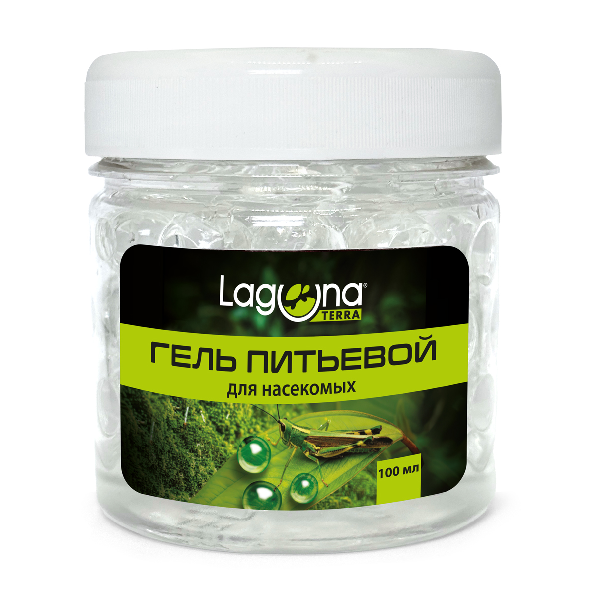 Изображение на странице