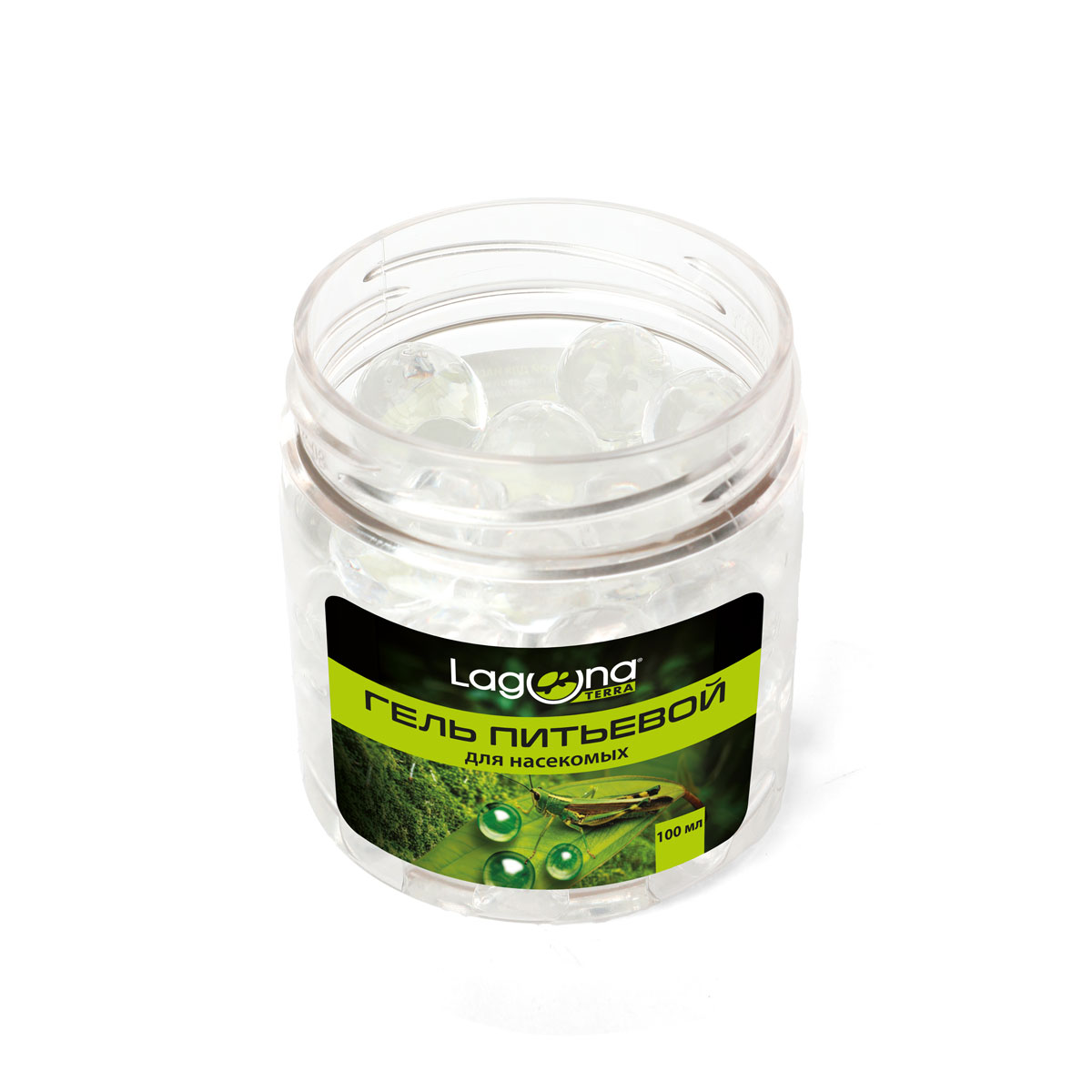 Изображение на странице