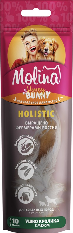 Изображение на странице