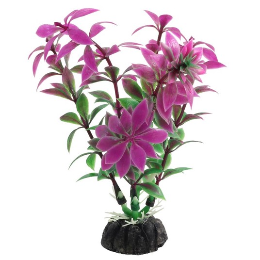 Растение "Ротала", сиреневое, 100мм