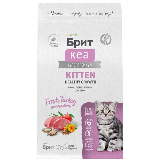 Изображение на странице