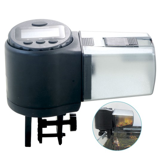 Изображение на странице