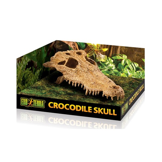 Изображение на странице