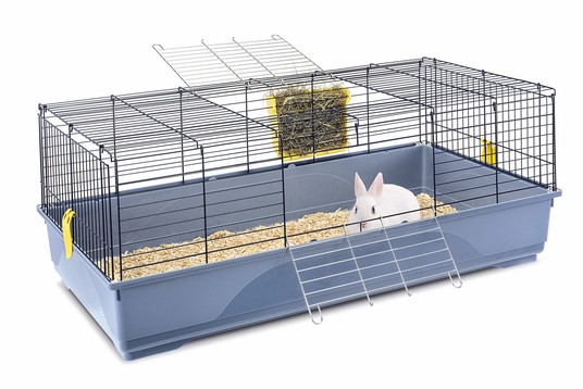 Изображение на странице