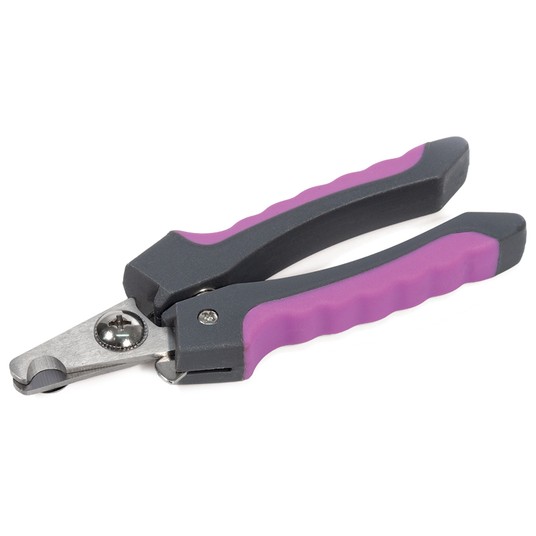 Изображение на странице