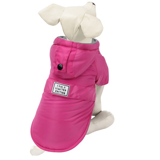 Изображение на странице