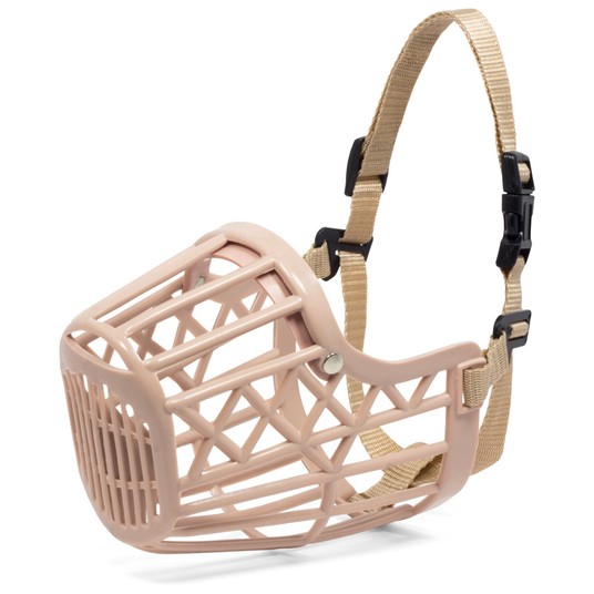 Изображение на странице