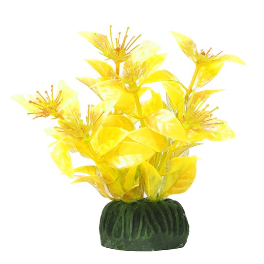 Изображение на странице