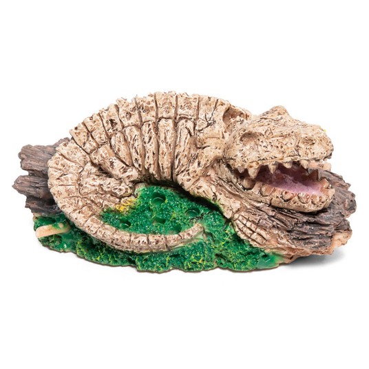 Изображение на странице