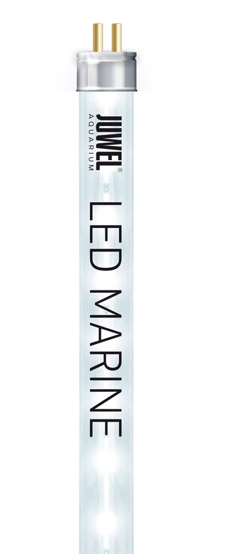 Изображение на странице